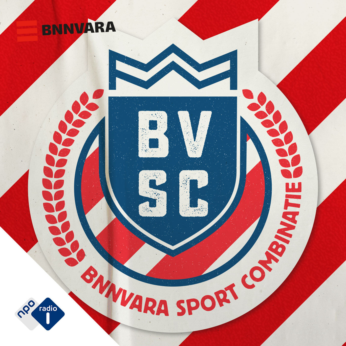 B.V.S.C. logo