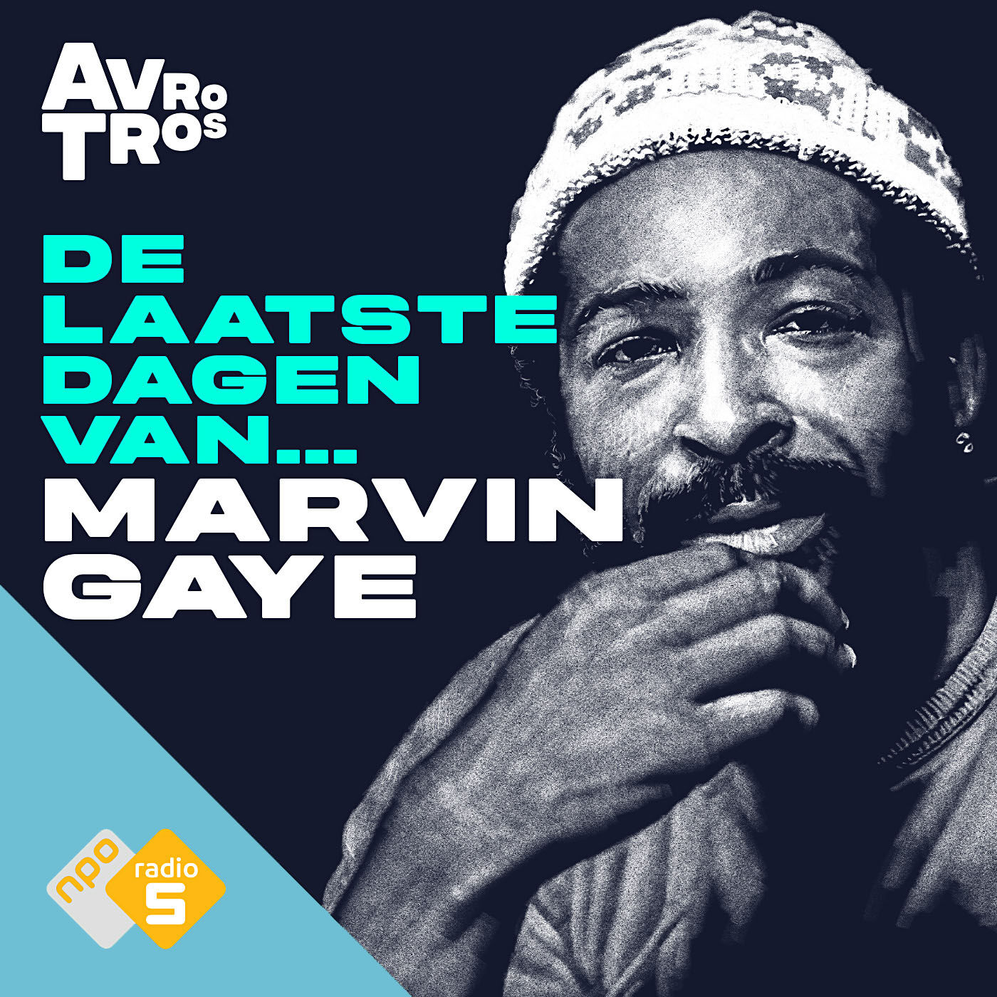#1 - Ain’t Nothing Like The Real Thing (het fenomeen Marvin Gaye) (S03)
