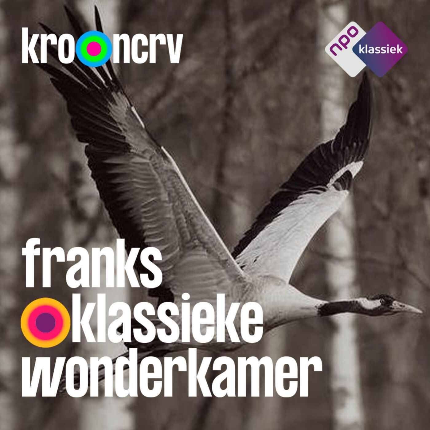 #73 - Franks Klassieke Wonderkamer -‘Scene met kraanvogels’