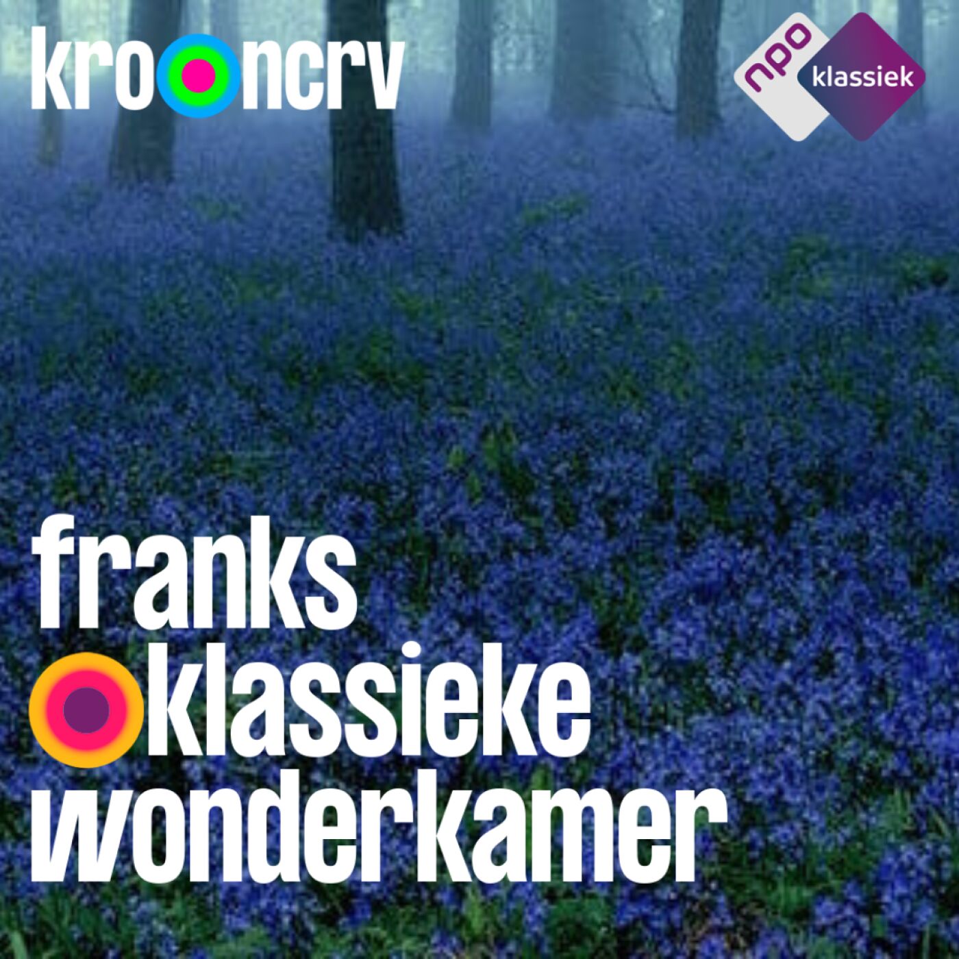 #171 - Franks Klassieke Wonderkamer - 'Dirks Berceuse, 1924'