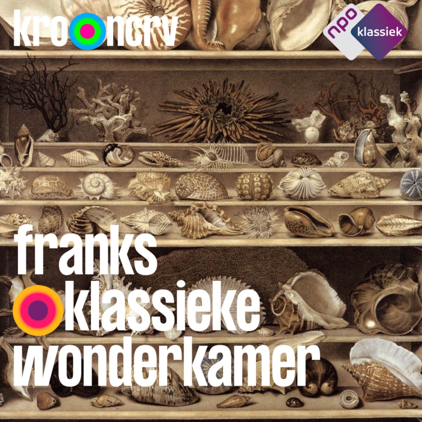 #183 - Franks Klassieke Wonderkamer - ‘Stilleven met viool’