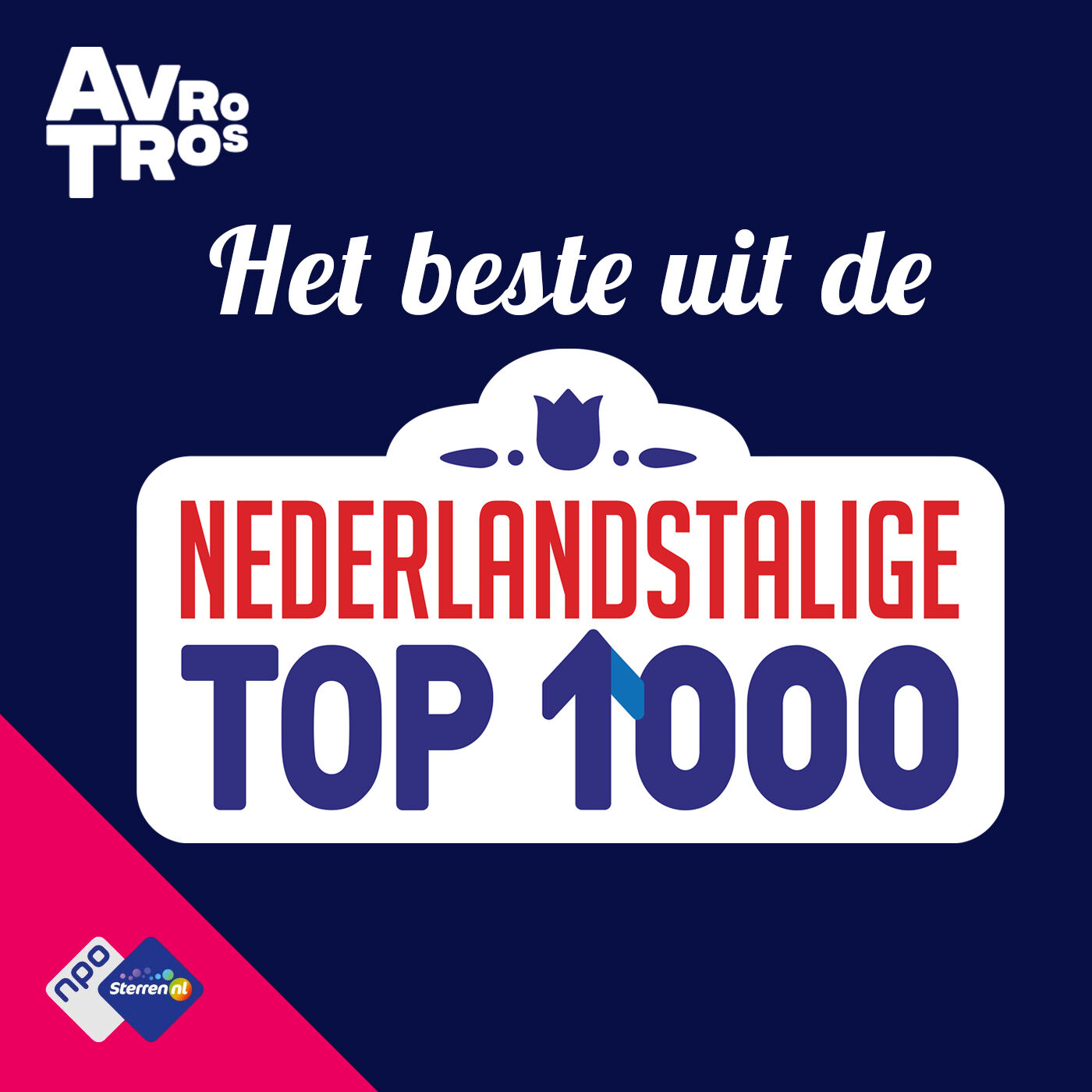 Het Beste uit de Nederlandstalige Top 1000 logo