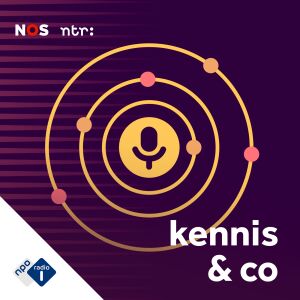 Kennis & Co – Écoutez #4 – Plus intelligent avec un petit ventre ?  |  balados