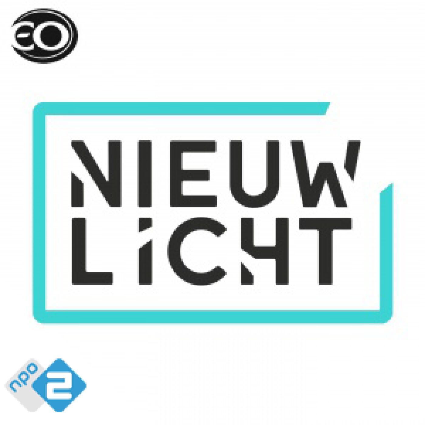 Nieuwlicht logo