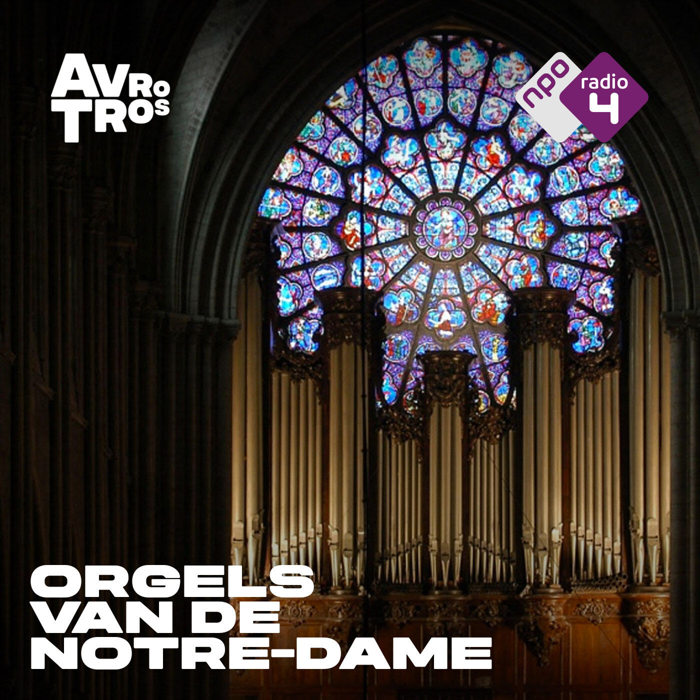 Orgels van de Notre-Dame logo