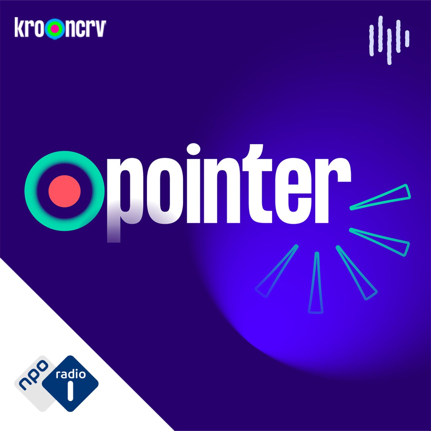 Pointer Podcast artwork