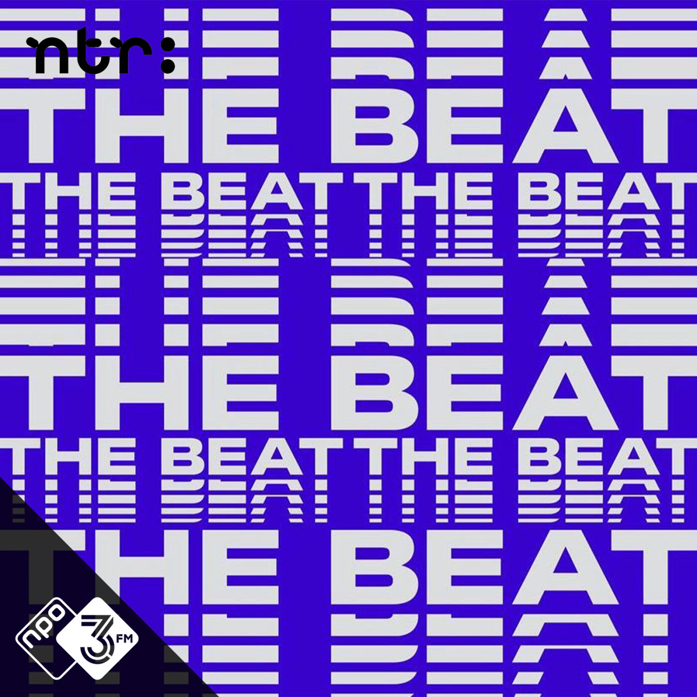 Logo The Beat Mix