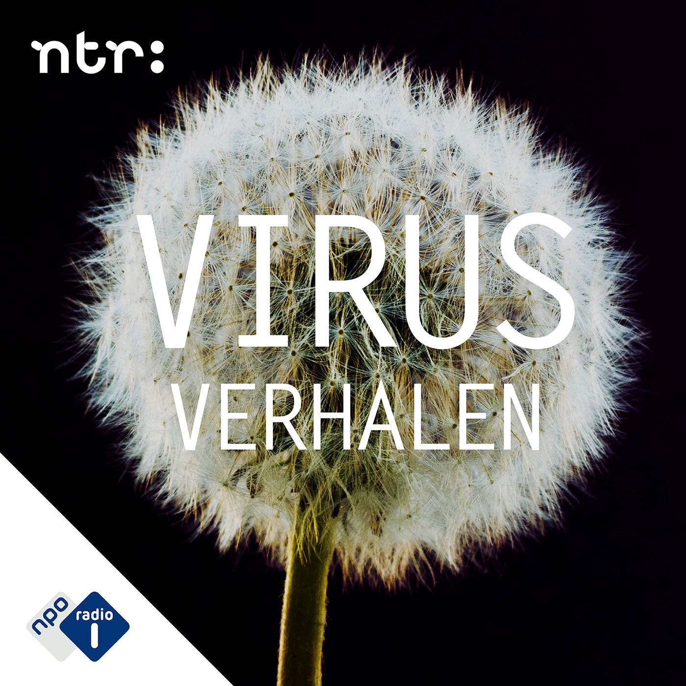 Virus Verhalen logo